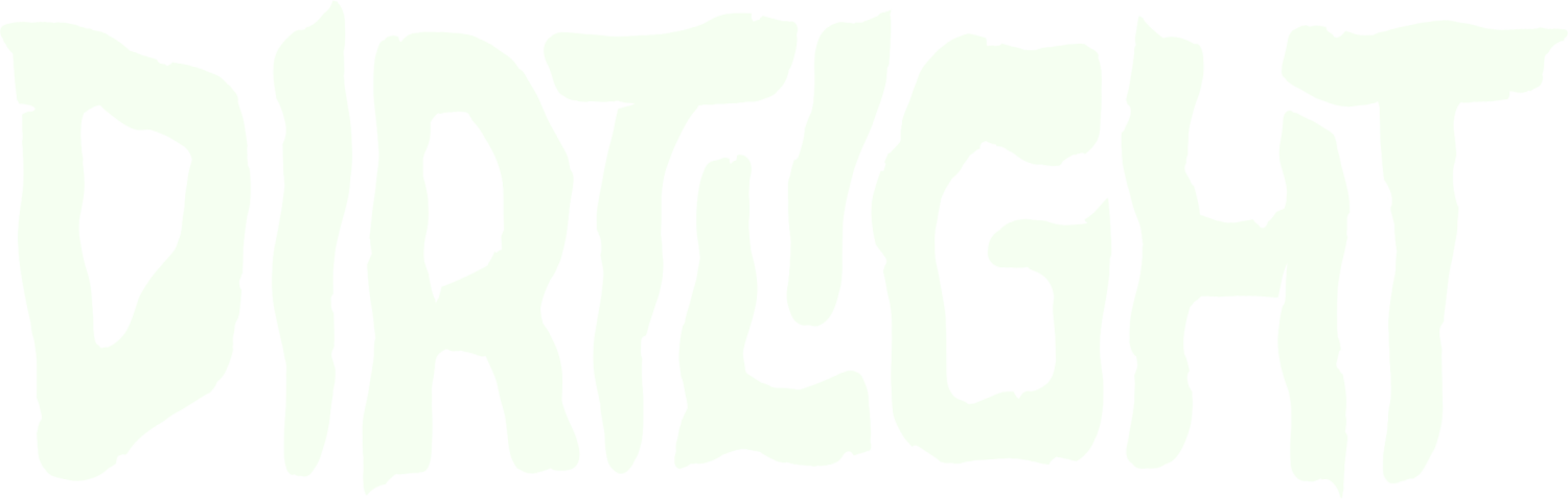 Dirtlight
