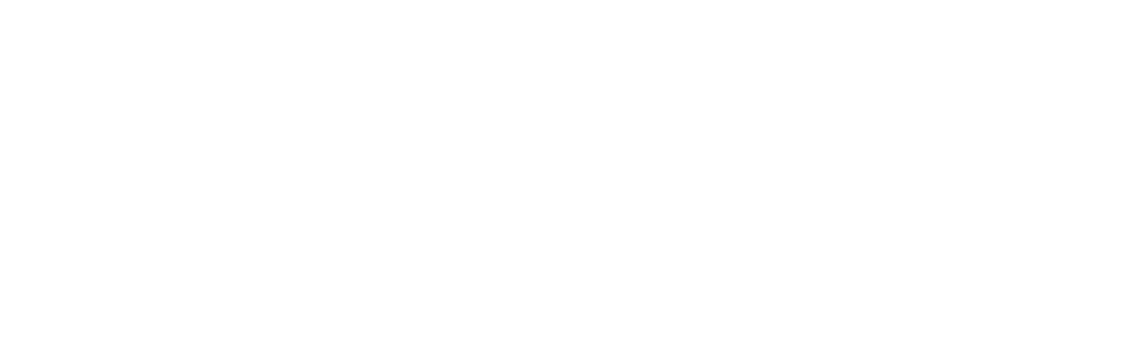 Dirtlight
